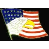 USA FLAG UNITED STATES FLAG W EAGLE HEAD PIN